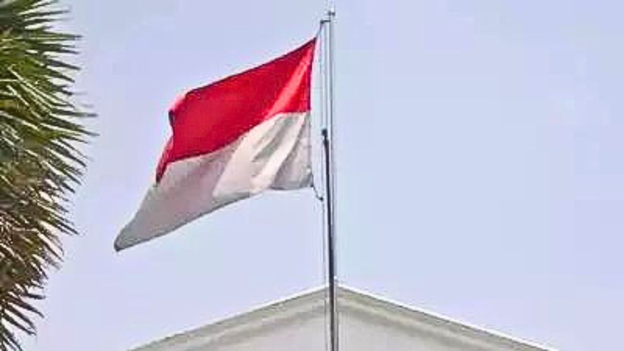 Indonesia menambahkan taman nikel senilai hampir $40 miliar ke dalam rencana strategisnya