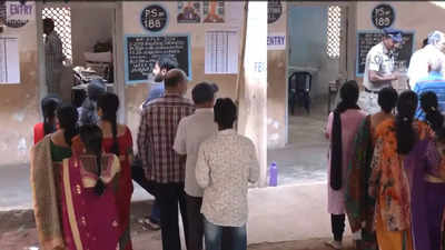 80% first-time electors in Andhra Pradesh exercised voting rights this year