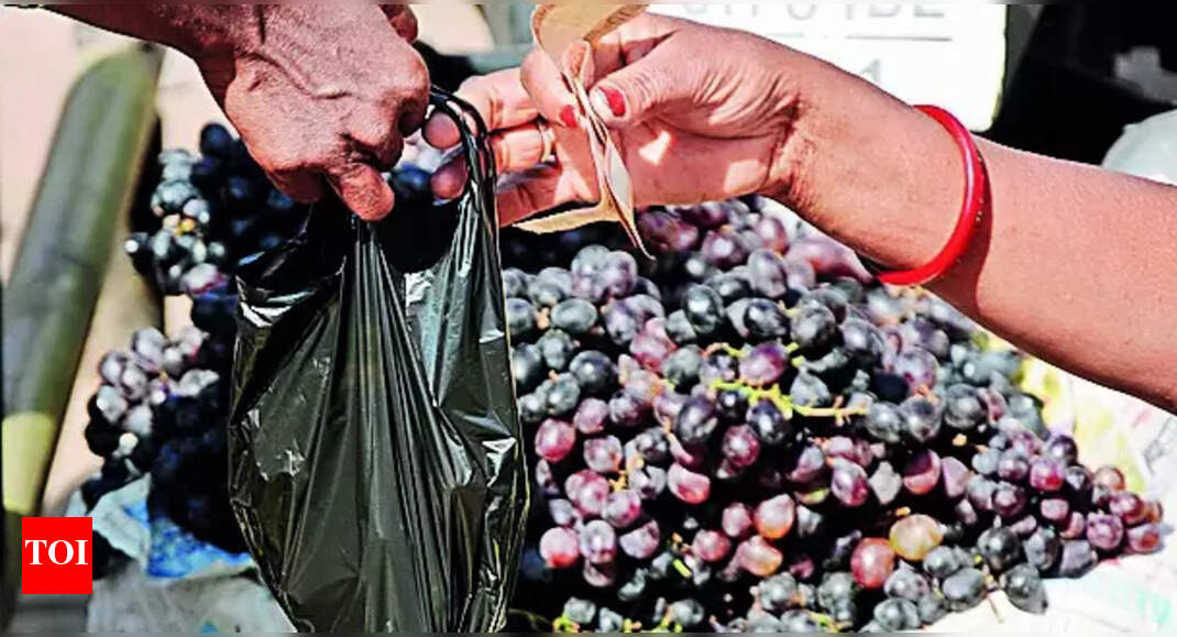 Plastic Ban Violators: RMC begins inspection drive to penalise plastic ban violators | Ranchi News - Vimarsana News
