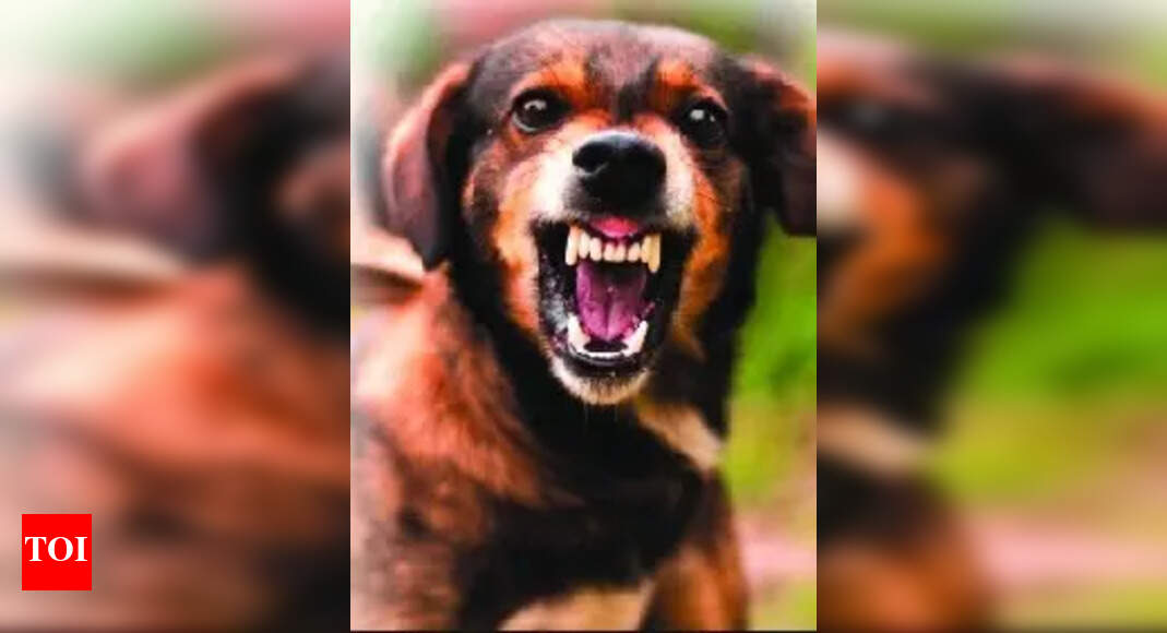 Infant Mauled: 4-month-old infant mauled to death by stray dog in ...