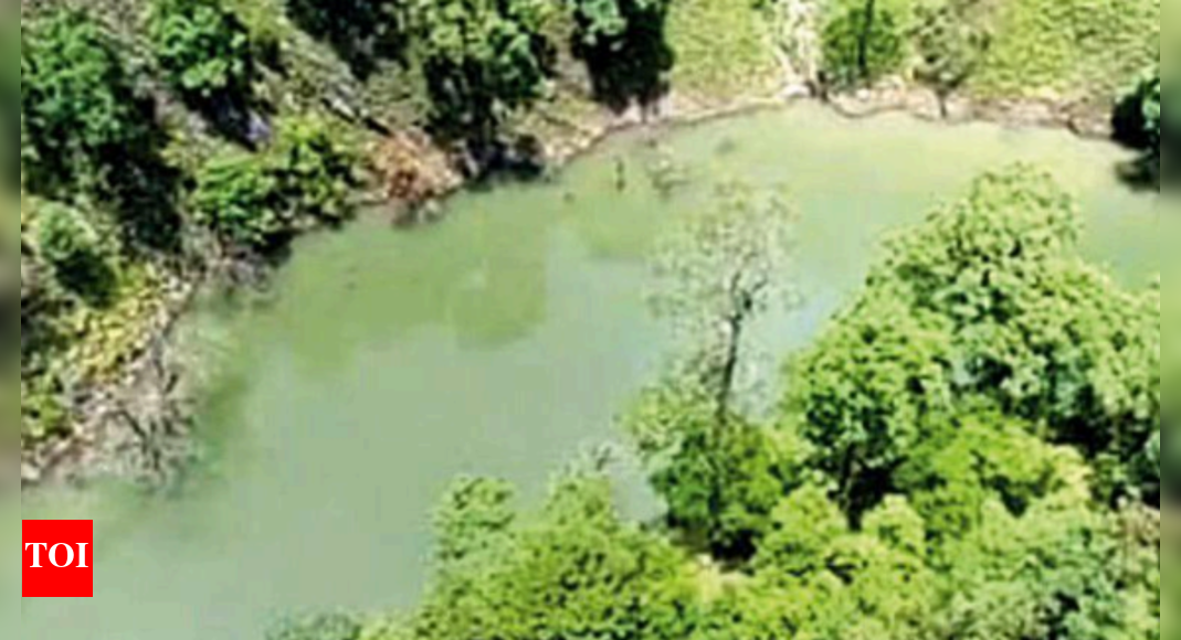 Uttarakhand: Shambhu river's artificial lake renews disaster concerns | Dehradun News - Vimarsana News