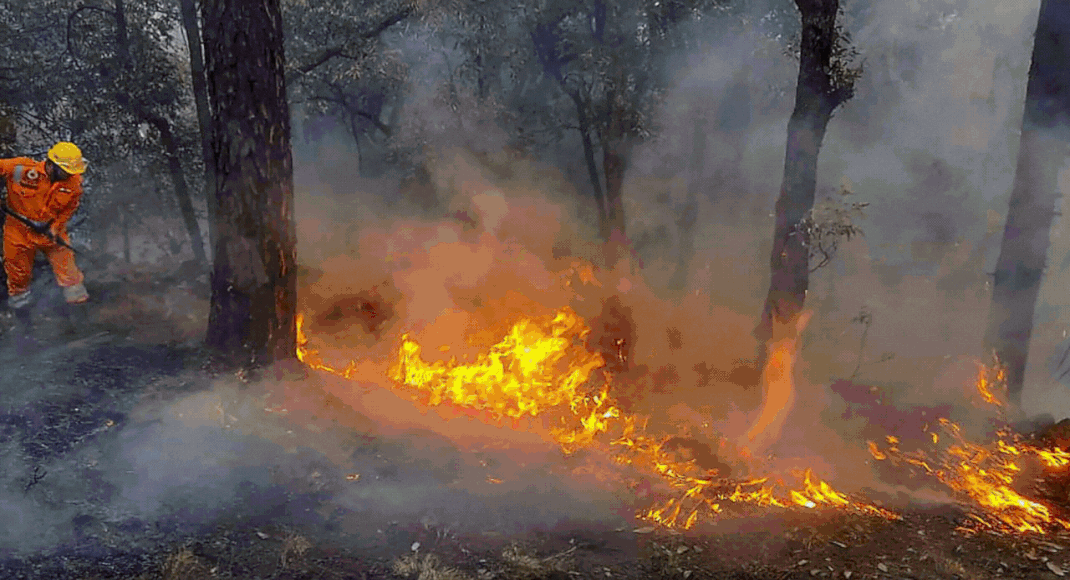 SC slams Uttarakhand govt, says state's approach in controlling forest fires 'lackadaisical'