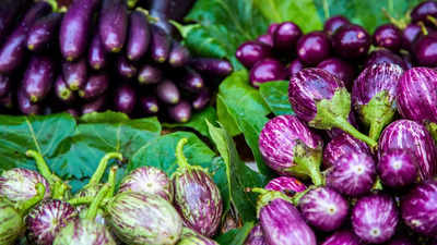 Why does Ayurveda advise against consuming eggplants during pregnancy