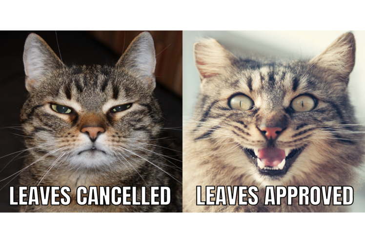 All is well, all is well, when we get leaves!