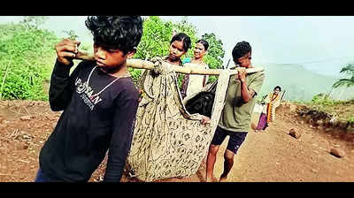 Remote roads, remote remedies: Woman carried in doli for 6km to hospital in Andhra Pradesh