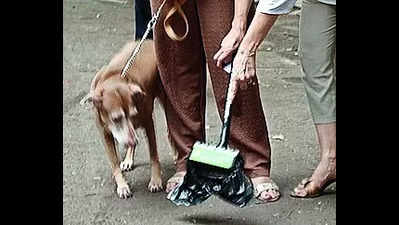 BMC shames pet owners with pics, raises experts’ brows & legal row