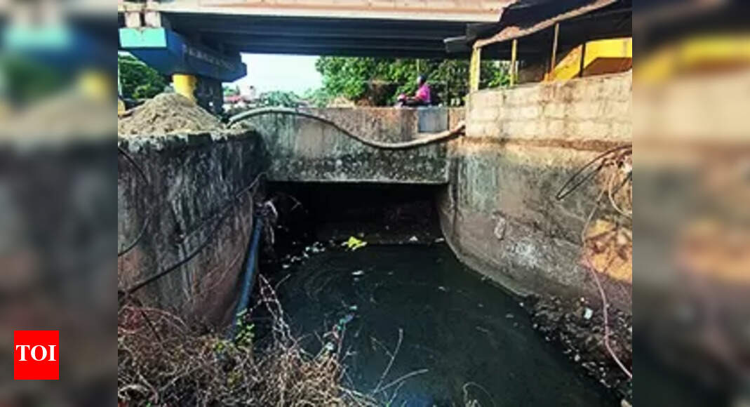 Monsoon: Precautionary Measures Before Monsoon: DC's Directive in Mangaluru | Mangaluru News - Vimarsana News