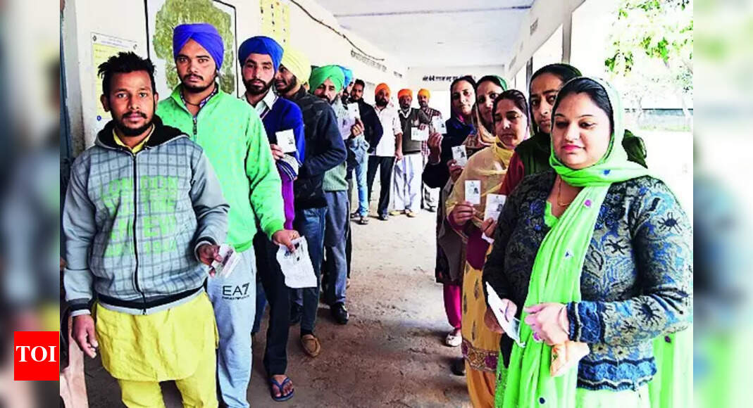 Voter Turnout: Challenges in Achieving High Voter Turnout in Ludhiana | Ludhiana News - Vimarsana News
