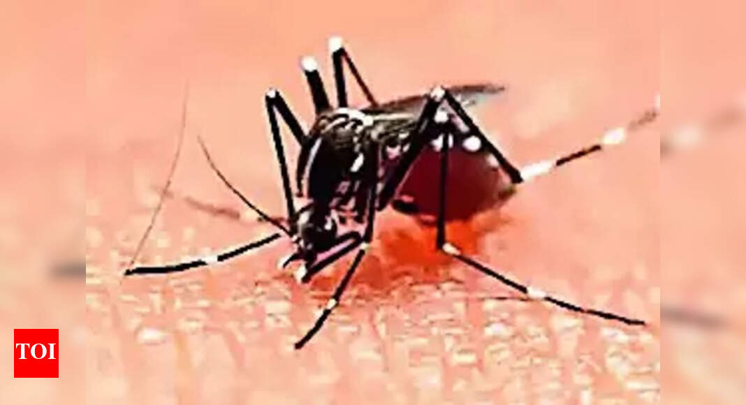 Dengue Prevention: Health department gears up for activities on Dengue Day | Varanasi News - Vimarsana News