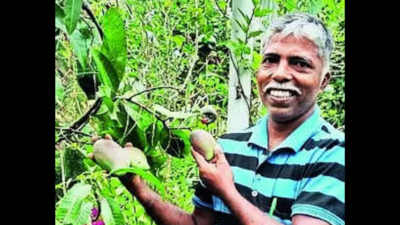 With Rs 3 lakh per kg mangoes, Udupi farmer reaps gold
