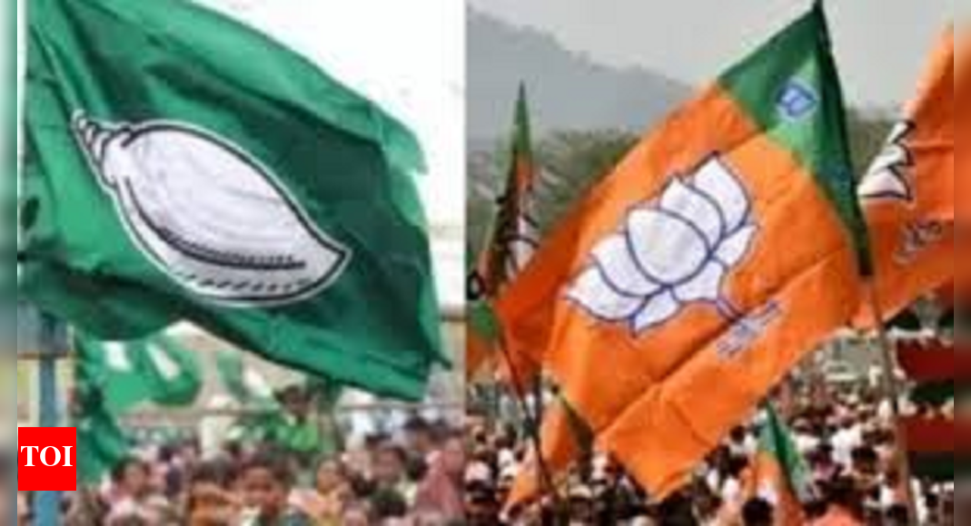 BJP supporter killed in pre-poll clash in Odisha's Ganjam | Bhubaneswar News - Vimarsana News