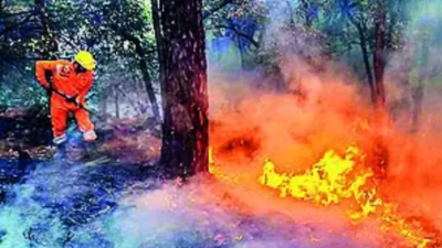 SC pulls up Uttarakhand govt, seeks report on wildfires