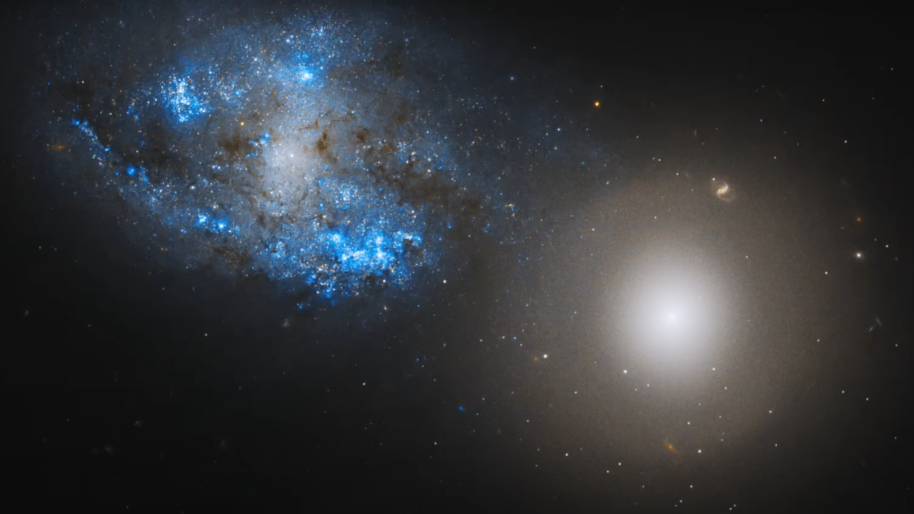 NASA의 허블 망원경은 태양과 같은 별의 탄생을 놀랍도록 자세하게 보여줍니다.