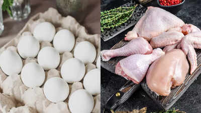 Chicken vs eggs: Which has more protein