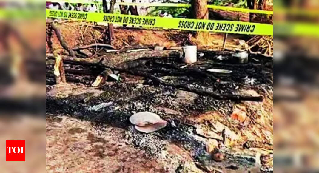 Children Died: Two Children Die in Hut Fire | Vadodara News - Vimarsana News