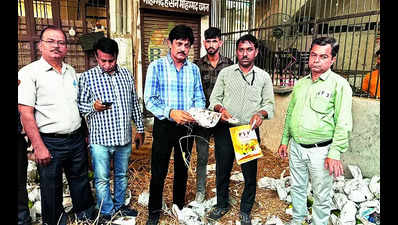 Mangoes ripened by hazardous chemicals at mandi, find officers