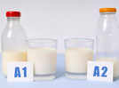 What is A2 milk? How is it better than regular milk