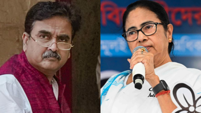 Ex-judge & BJP pick on Mamata: 'What is your price, Rs 10 lakh? I suspect if she's a woman at all'