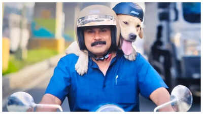 ‘Pavi Caretaker’ box office collections day 21: Dileep-Vineeth Kumar’s film mints only Rs 3 lakhs