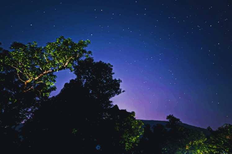 Coorg, Karnataka