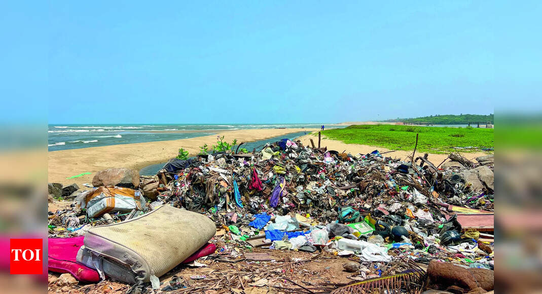 City rots as civic body’s contract staff bunk work citing issues with ...