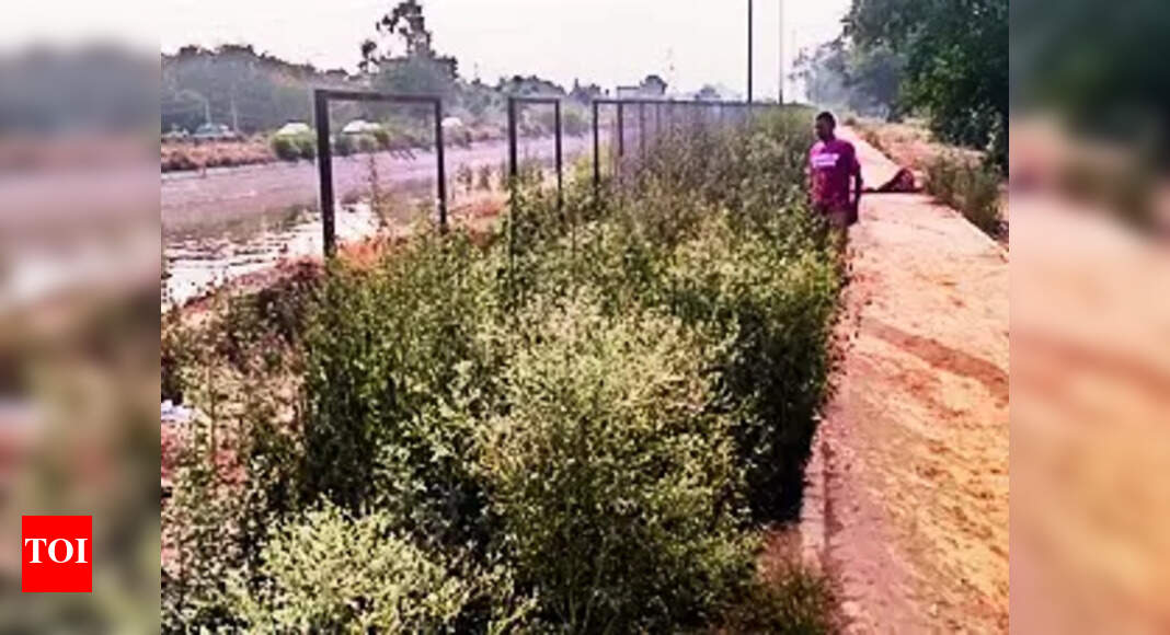 Sidhwan Canal Pollution: Green tribunal seeks report on Sidhwan canal pollution | Ludhiana News - Vimarsana News