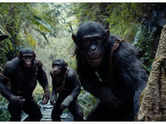 'Kingdom of the Planet of the Apes’ BO collection