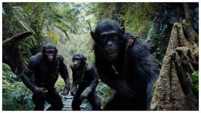 'Kingdom of the Planet of the Apes’ fails to cross Rs 20 crore mark on second Friday