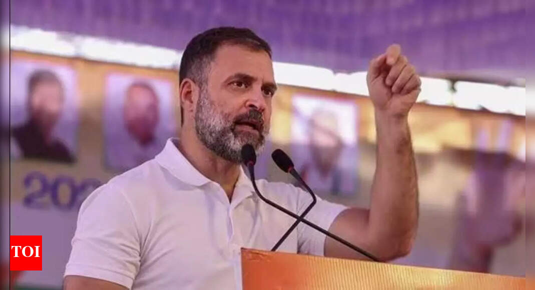 Educational qualification of Congress leader Rahul Gandhi | - Vimarsana News
