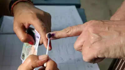 Amethi Lok Sabha election 2024 Phase 5: Polling date, candidates and more