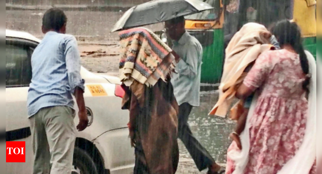 28 areas are 'severely vulnerable' to flooding in Karnataka | Bengaluru News - Vimarsana News