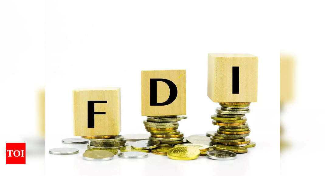 FDI norms likely to be eased under new govt: DPIIT Secretary