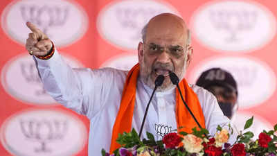 After British, it's fight against 'desi Angrez': Amit Shah in Bundelkhand