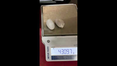 Gold Seized: Customs Seizes 430 Grams of Gold at Kochi Airport | Kochi ...