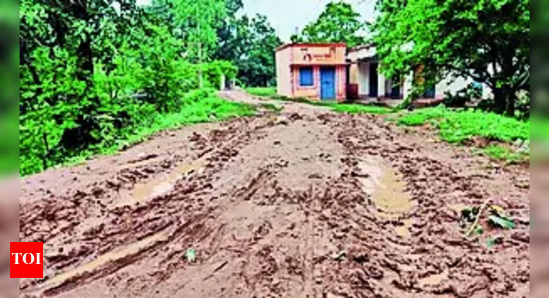 Villagers: Sundargarh villagers warn of poll boycott over paved road | Bhubaneswar News - Vimarsana News