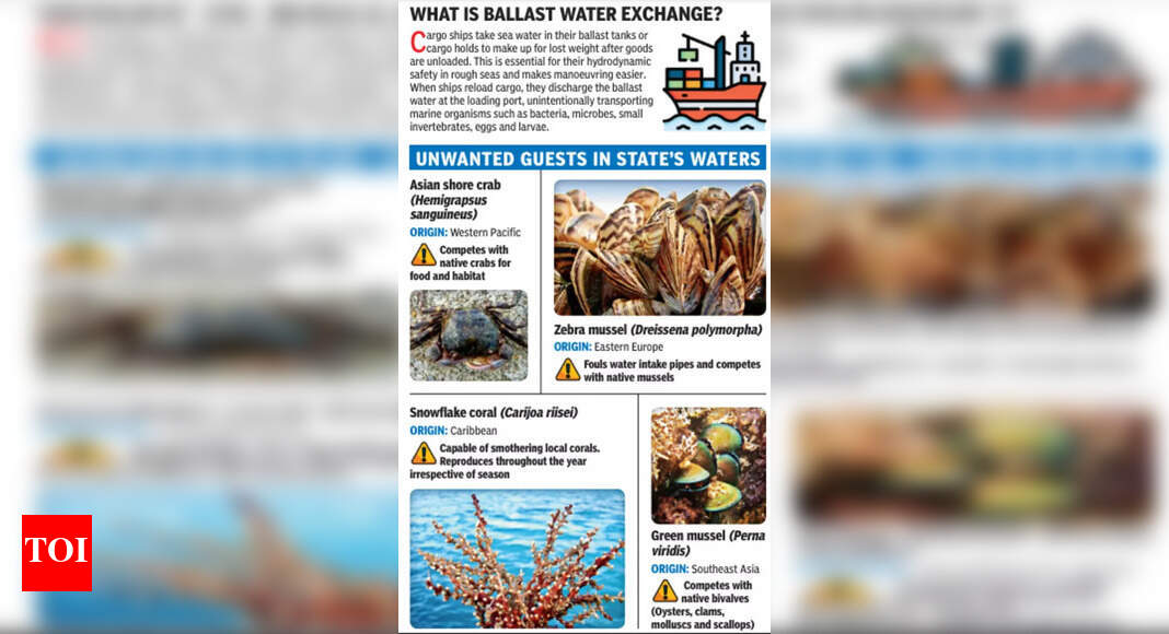 Aliens in our seas | Ahmedabad News - Times of India - Vimarsana News
