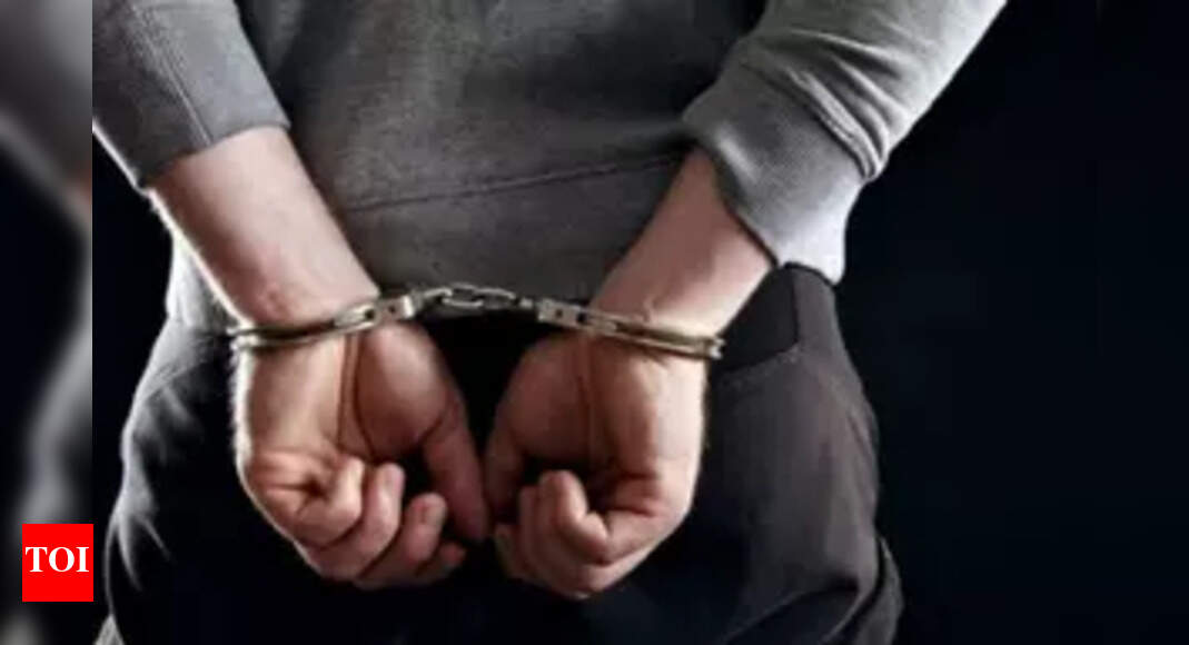 Goa police arrest man from Bengaluru for cyber bullying woman and extortion | Goa News - Vimarsana News