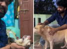 Remember the dog Charlie from 'Charlie 777'?; It just gave birth to 6 pups