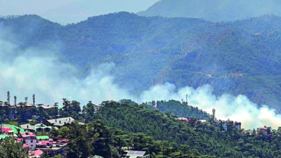 Tourists heading for cooler climes in Himachal Pradesh run into heatwave