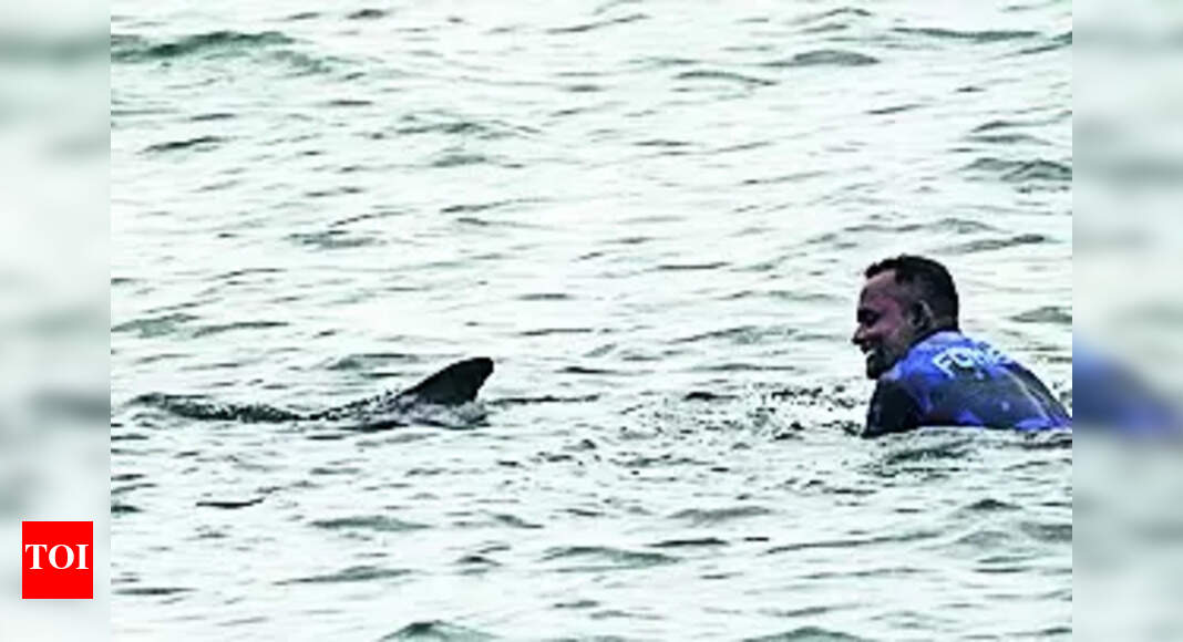 Killer Whale Rescued: Stranded killer whale rescued | Madurai News ...