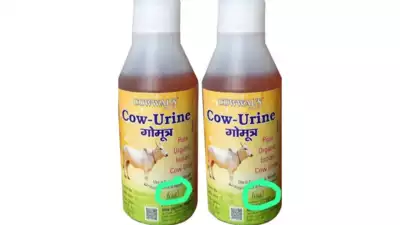 Cow urine, claimed to be licensed by FSSAI, goes viral over social media: Here's what health ministry says