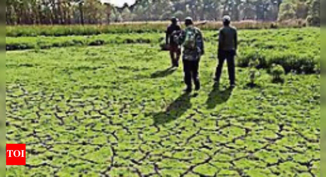 4 kilometer stretch of river in Pilibhit Tiger Reserve runs dry due to encroachment | Agra News - Vimarsana News