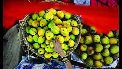 'Need climate-resilient tech for mango farming'