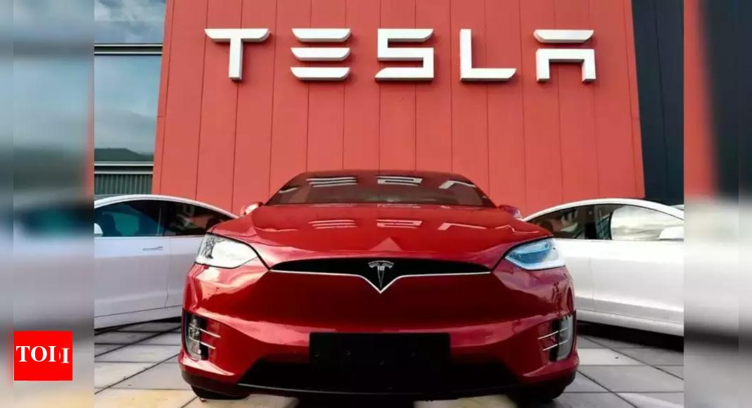 Indonesia's Minister Announces Elon Musk's Interest in Establishing EV