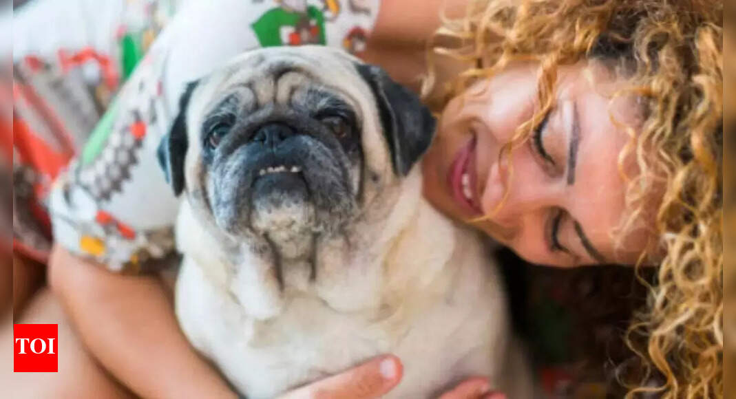 Young pet 'parents' propel India's pet care eco - Vimarsana News