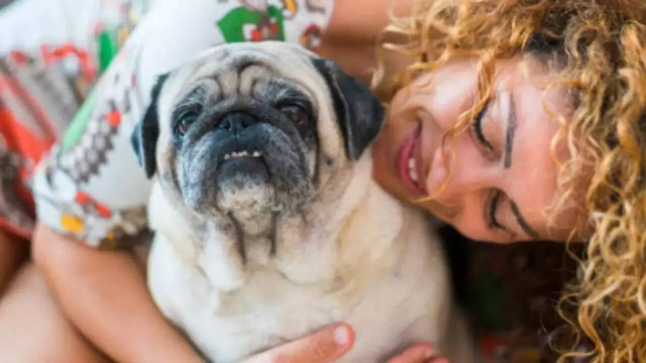 Young pet owners drive India’s pet care industry