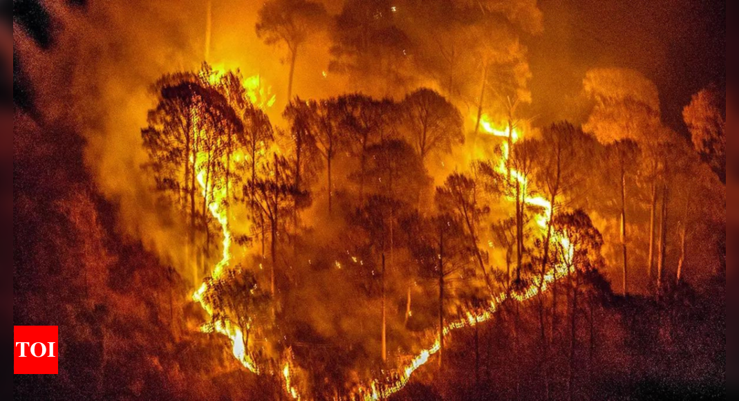 Wildfire doused after coming close to Ranikhet golf course