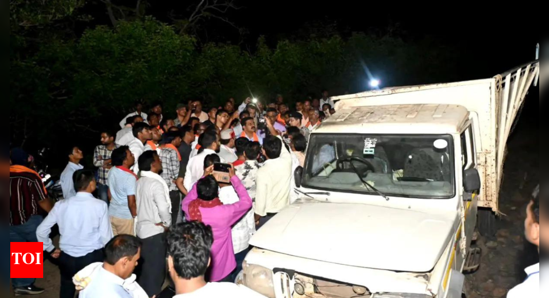 19 tribals dead after pickup falls into ditch | India News - Vimarsana News