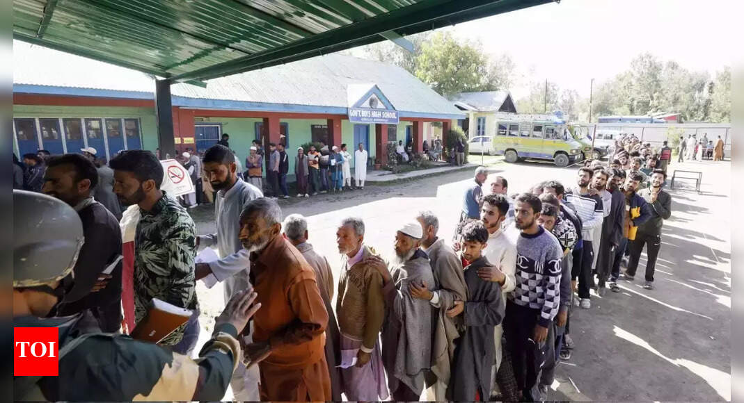 Families of active militants, youth root for democracy in Valley | Srinagar News - Vimarsana News