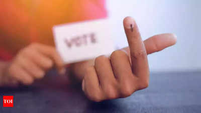 From San Francisco to Kanjurmarg, entrepreneur flies down to cast vote in Mumbai